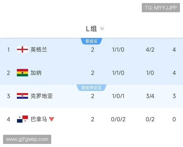 加纳世界杯小组赛回顾:末轮输球无缘淘汰赛资格